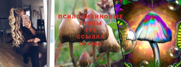 гидропоника Армянск