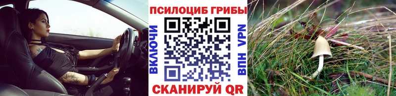 сайты даркнета Telegram  Безенчук  Галлюциногенные грибы Cubensis 